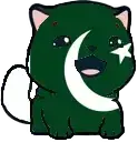 :!marseyflagpakistan: