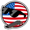 :#ameriballgun: